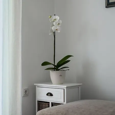 Dora Apartment *